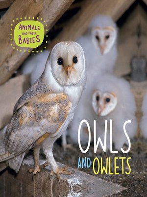 cover image of Owls and Owlets